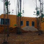 Steel Framing/Metalcom: Como instalar las placas de OSB o Terciado Estructural